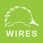 Wires