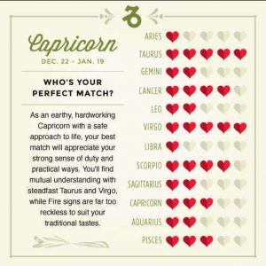 capricorn star sign compatibility